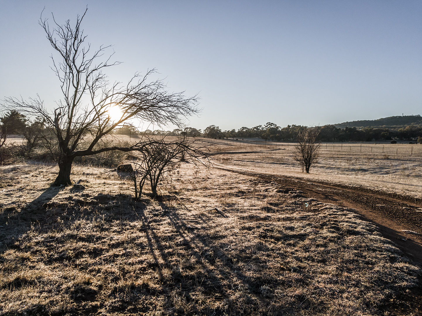 A Frosty Morning