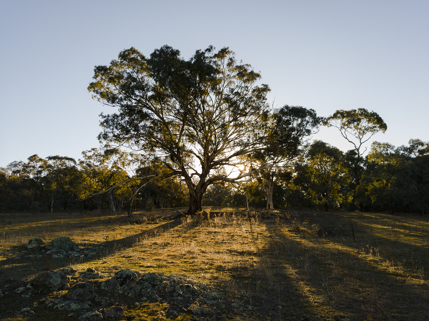 Centenary Trail