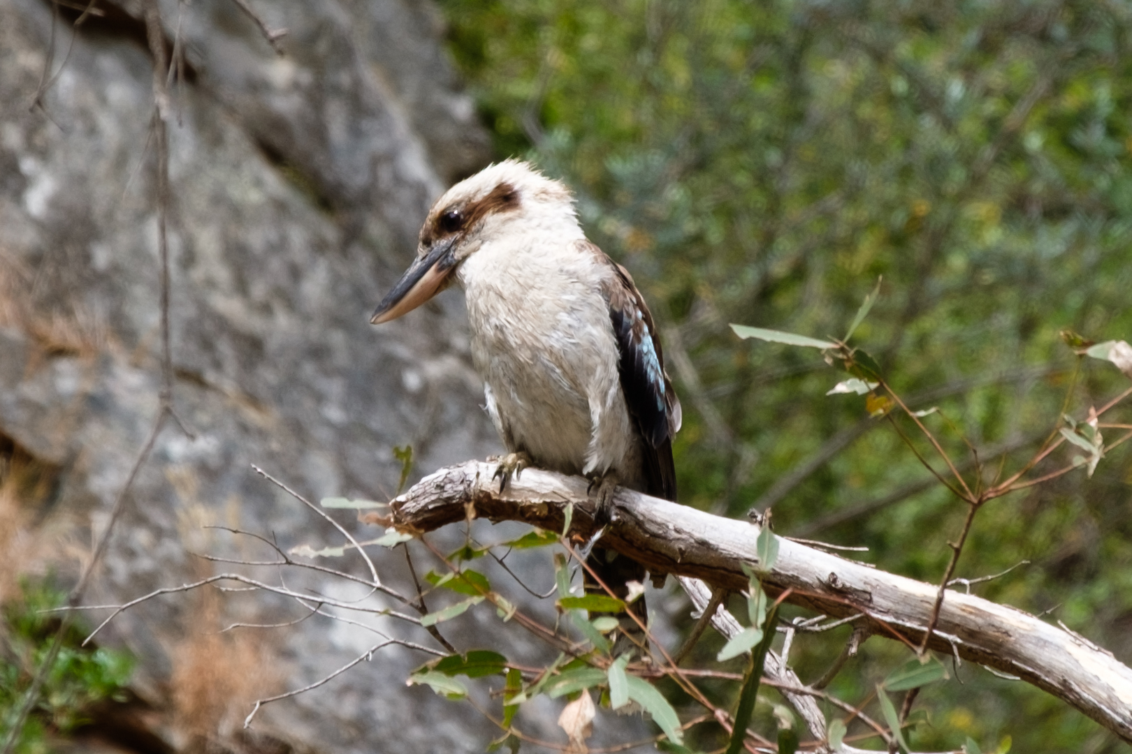 Adelaide Hills Photos