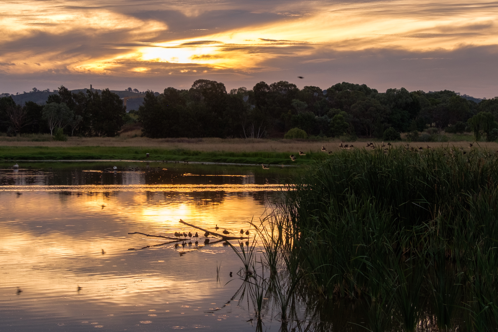 Jerra Wetlands Twilight