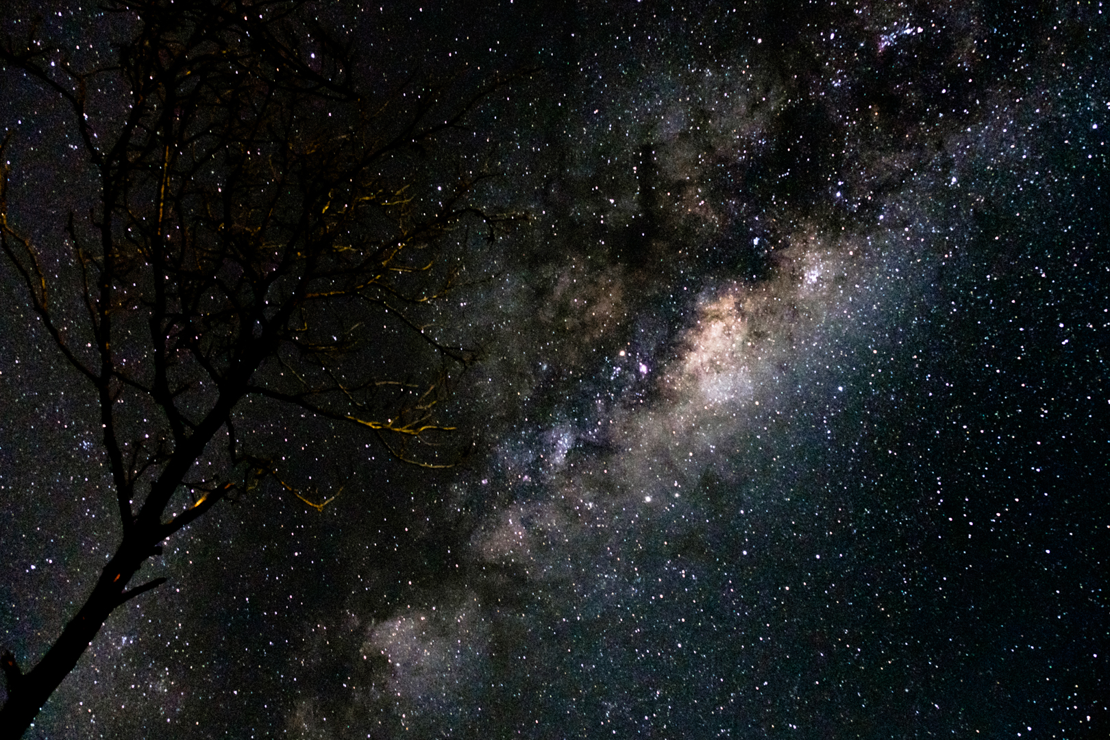 Gallery: Stargazing