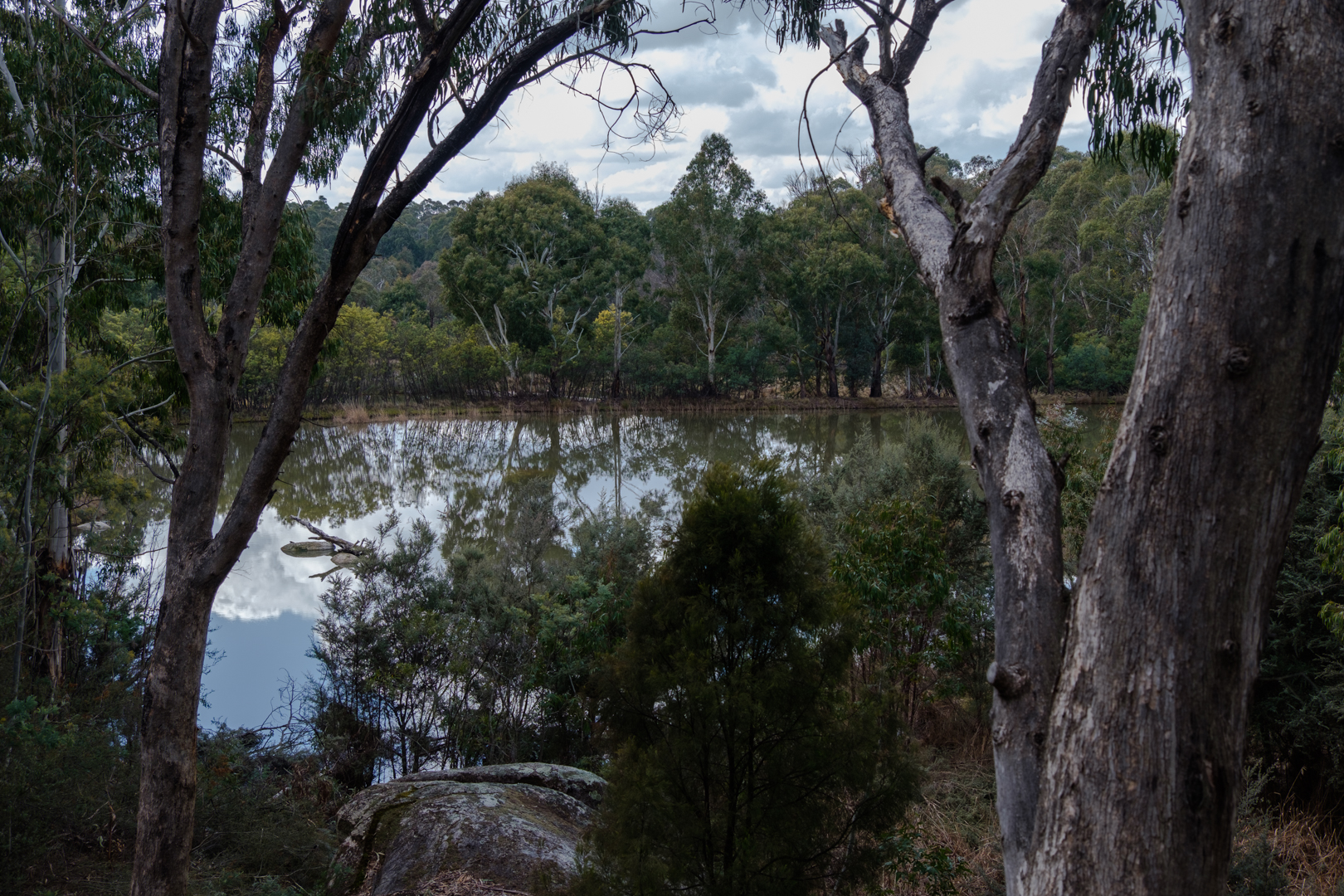 Tidbinbilla Gallery